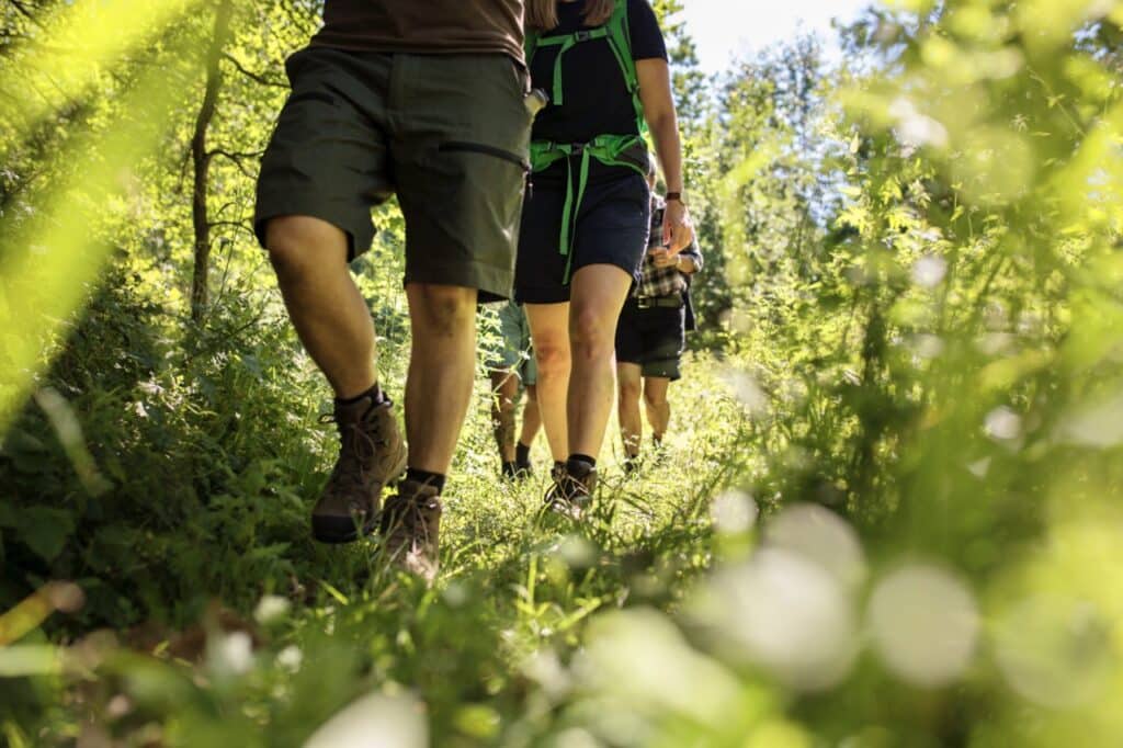 Family Walking In Forest